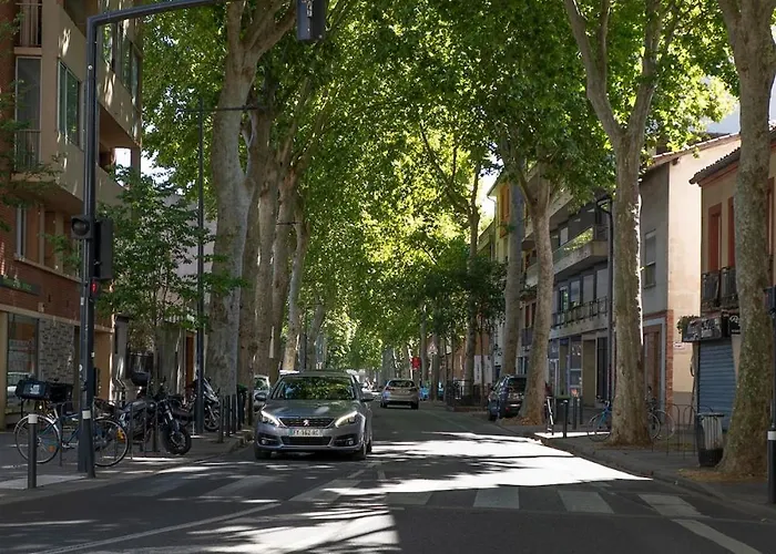 Appartement Le Duplex - En Centre-ville Toulouse