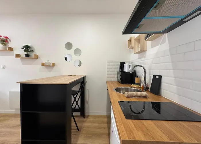 Διαμέρισμα Le Duplex - En Centre-ville